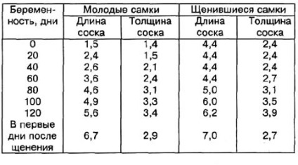 Розмноження, спаровування і злучка нутрій