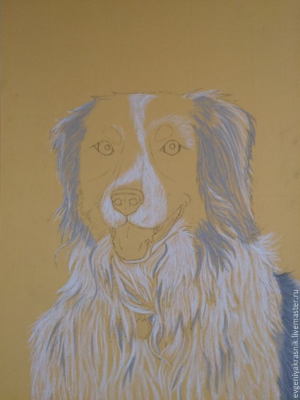 Desenează o rasă de câine pasteală Ciobănesc australian - Meșteșugari echitabili - manual, manual