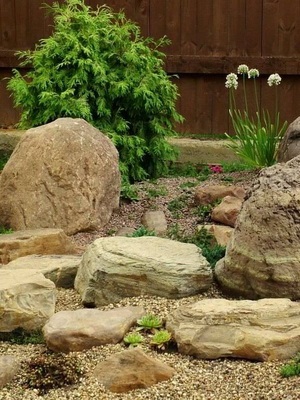 Рокарій на дачі фото, відео, пристрій рокария і його створення в саду