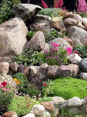 Рокарій на дачі фото, відео, пристрій рокария і його створення в саду