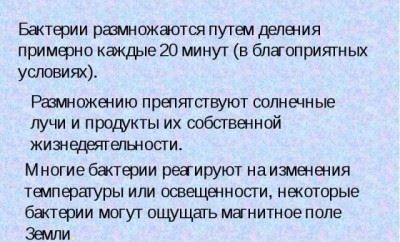 Зростання і розмноження бактерій швидкість і фази зростання, культивування бактерій, надлишковий ріст