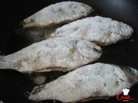 Ruddy kis ponty, rántott egy serpenyőben - recept (sült) Ruddy kis ponty, rántott egy serpenyőben - recept