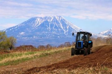 Cele mai eficiente metode de control al dăunătorilor de plante