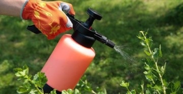 Cele mai eficiente metode de control al dăunătorilor de plante