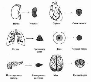 Сам собі су джок доктор