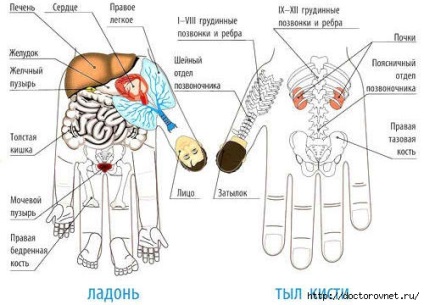 Сам собі су джок доктор