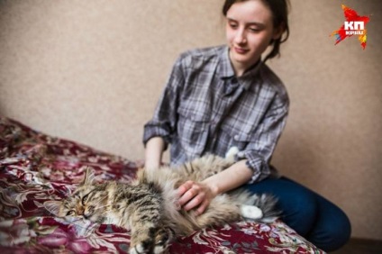 O școală din Chelyabinsk a salvat o pisică care a petrecut 10 zile într-un puț de ventilație a unei clădiri înalte