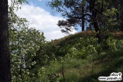 Скала ліннавуорі в хійтоле