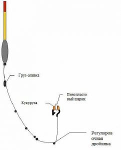 Tackles fogása amur tehnoplankton, tavasz, úszó