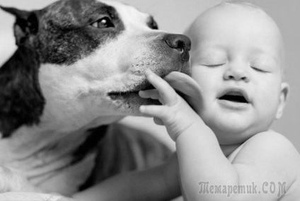 Câini și copii