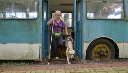 Câini-ghiduri de istorie a celor care au devenit ochii orb, un câine și o pisică - totul despre animalele de companie