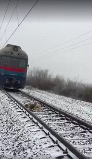 Un câine care cade sub tren este salvat de un prieten