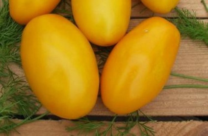 Сорти помідор томатів фото з описом, зелені армянчікі, кращі гібриди та відгуки, найкращі і
