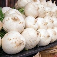 Daikon retek fajtákat kiválasztani a legjobb növekvő