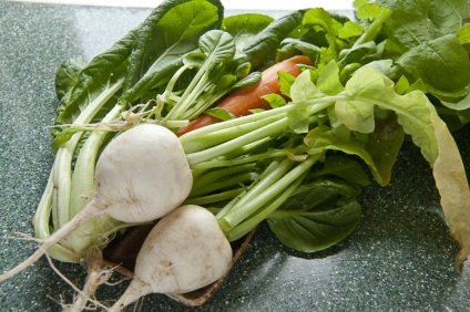 Daikon retek fajtákat kiválasztani a legjobb növekvő