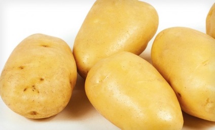 Степен zekura картофи подробно описание, условия на отглеждане, както и снимки