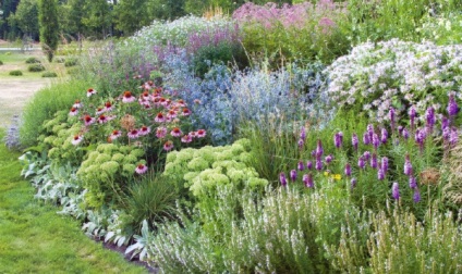 Suveran - grădină de flori în limba engleză