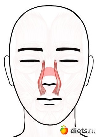 Păstrați forma tânără a exercițiilor nasului - metodele kur'nosik feyskultura de întinerire naturală a grupului