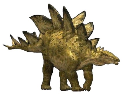 Stegosaurus, totul despre stegosaurus, despre stegosaurus, dinozaur stegosaurus din perioada jurasica, despre dinozauri,