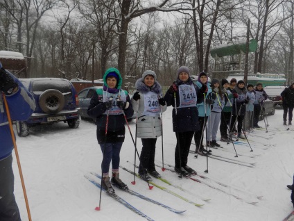 Відомості про оо - стреліцкій дитячий сад лебідь Семілукского району