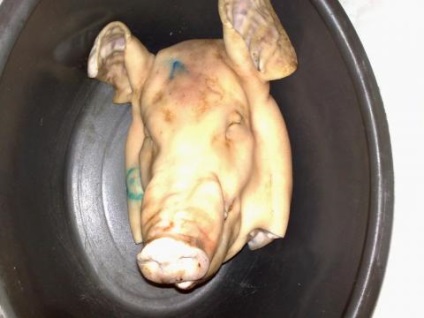 Cap de porc coapte în cuptor - bucătărie 2