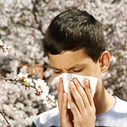 Такий спалаху алергії не було ще ніколи!