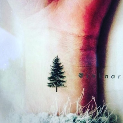 Tattoo érték fa tetoválás, fotók, vázlatok