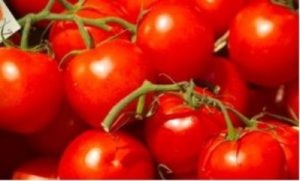 Tomato-cherry blossom - f1 descrierea soiului, cum să crească, secretele de plantare și de îngrijire, înălțimea bush