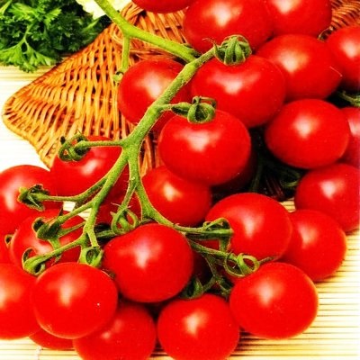 Tomato-cherry blossom - f1 descrierea soiului, cum să crească, secretele de plantare și de îngrijire, înălțimea bush