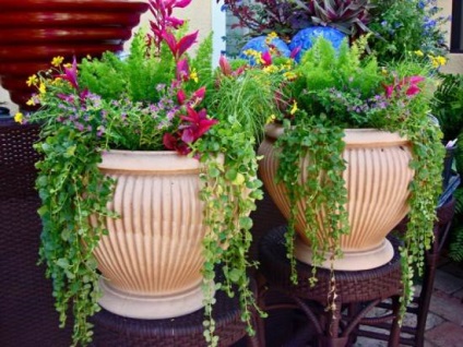 Вуличні вазони для квітів своїми руками - фото і дизайн ідеї - my life
