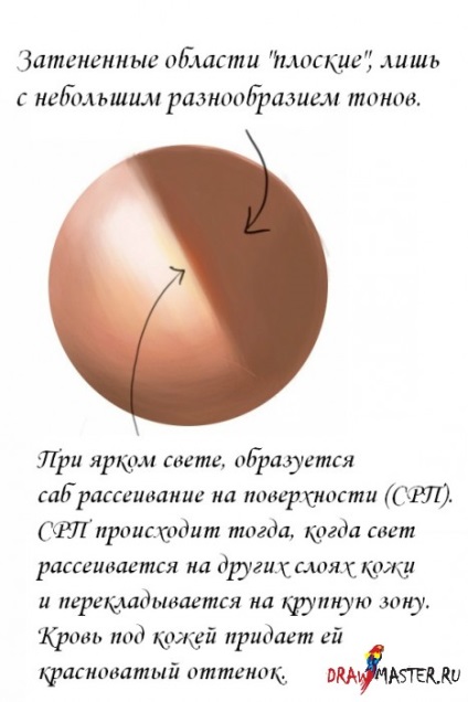 Lecții de pictura - cum să desenezi o piele realistă