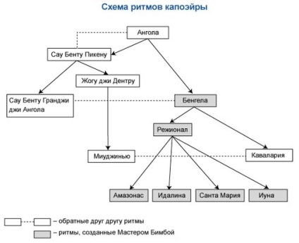 Урок - кейс «капоейра або як битися танцюючи» - портал для сучасних жінок