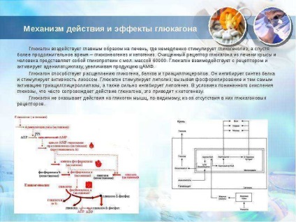 Урок по темі гормони підшлункової залози