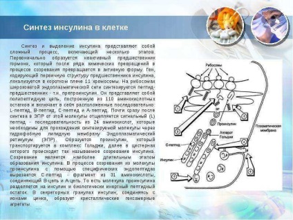 O lecție pe tema hormonilor pancreasului