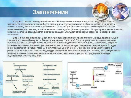 Урок по темі гормони підшлункової залози