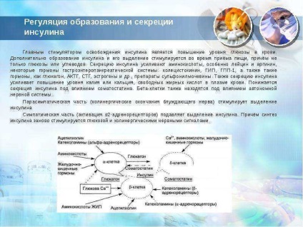 Урок по темі гормони підшлункової залози