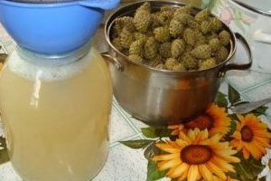 Jam a fenyőtoboz (kúp) Jam fenyőtoboz
