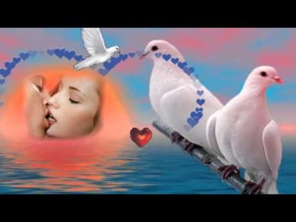 Veronica Agapov - esküvői galambok -minus - esküvői galambok dal hallgatni