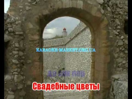 Вероніка Агапова - весільні голуби-мінус - весільні голуби пісня слухати