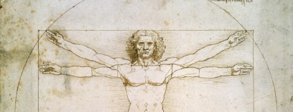 Vitruvius szerint Leonardo da Vinci (fő) Vitruvius Leonardo da Vinci
