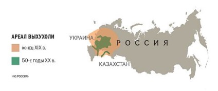 Disperarea este cel mai ridicol animal rusesc - rusia geografică națională