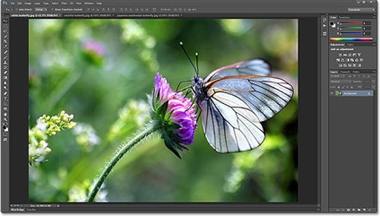 Tab-uri și ferestre plutitoare în Photoshop CS6