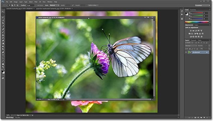 Tab-uri și ferestre plutitoare în Photoshop CS6