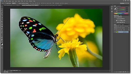 Виберіть і плаваючі вікна в photoshop cs6