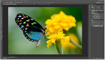 Tab-uri și ferestre plutitoare în Photoshop CS6