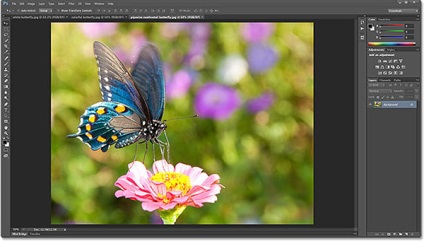 Tab-uri și ferestre plutitoare în Photoshop CS6