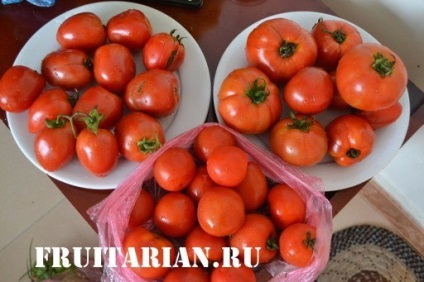 Смачні помідори, овочі і зелень на острові Катба (В'єтнам)