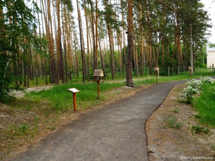 Воронезький біосферний заповідник (графський)