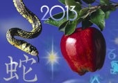 Східний гороскоп на 2013 рік приймаємо подарунки від водяної змії