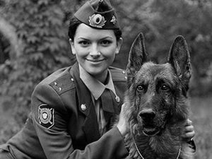 Return of Mukhtar 5 (2009) - A harmadik sorozat - hogyan eloltani egy csillag - sorozat - tájékoztatás a film - (Return of Mukhtar 5 (2009) Információ a filmsztár hogyan eloltani az orosz TV-sorozat) Return of Mukhtar 5 (2009) - A harmadik sorozat - hogyan eloltani egy csillag - sorozat - tájékoztatás a film -